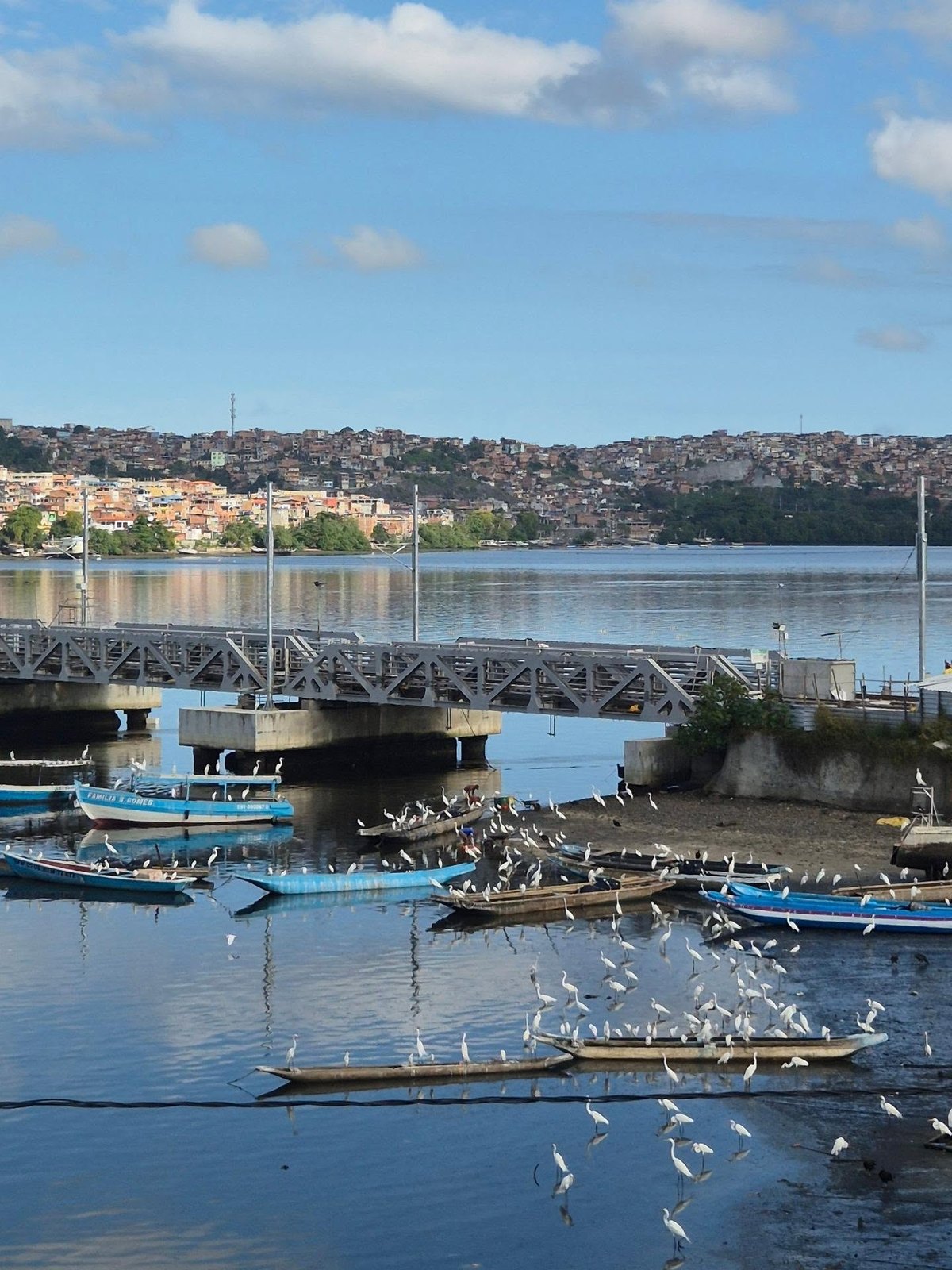 Ali, onde as águas da baía encontram o papel.